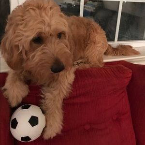 Meet your Posher, Ana maria